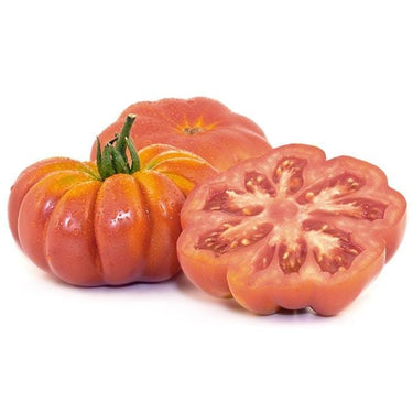 Costoluto Genovese Tomato Seeds - The Pepper Pantry (Formerly Marie Sharp's)